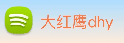 大红鹰dhy logo